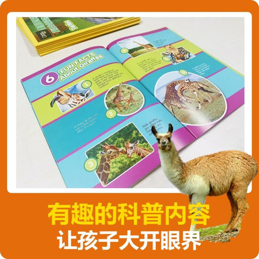 美国国家地理英语分级读物 第2级 10~12岁 美国国家地理学会 著  外语学习 商品图2