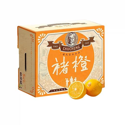褚橙一级果（10斤装） 商品图0
