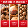 超值性价比【真大果新货！大颗粒桂圆干】8A500g龙眼干 新货福建特产 年货非无核桂圆肉零食 商品缩略图2