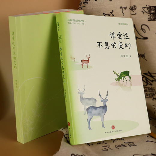 赠故宫鸟瞰图《林徽因“人间芳华”三部曲》函套全3册， 林徽因作品精选集，版本珍贵，了解一个全面真实的林徽因【G】 商品图3
