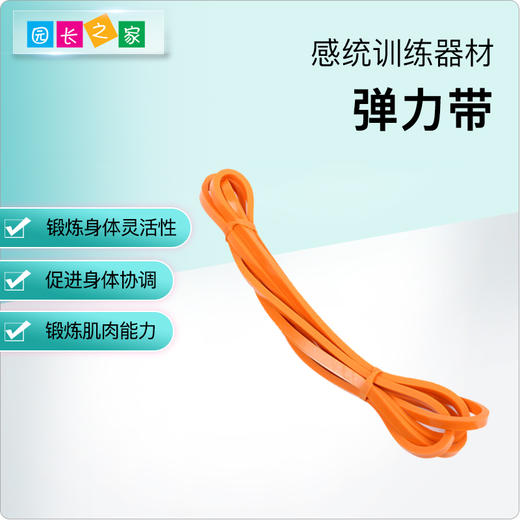 感统—弹力带 商品图0