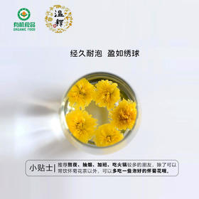 【下单48小时发货】河南焦作 有机怀菊花30g*2罐