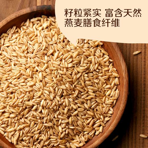 中粮初萃 内蒙燕麦米1kg五谷杂粮 商品图2