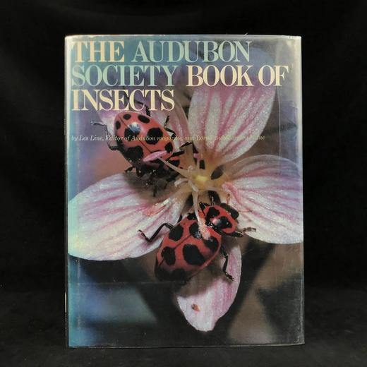 奥杜邦昆虫图鉴 数百幅插图 精装大16开 商品图0