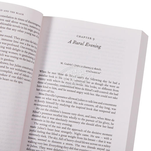 【中商原版】 英法版 红与黑 The Red and the Black 英文原版 Stendhal 小语种 英文对照 法文原版 商品图2