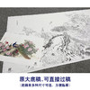 【大彩图】陈军横幅工笔画白描底稿《孔雀》临摹勾线花鸟线稿CJ42 商品缩略图1