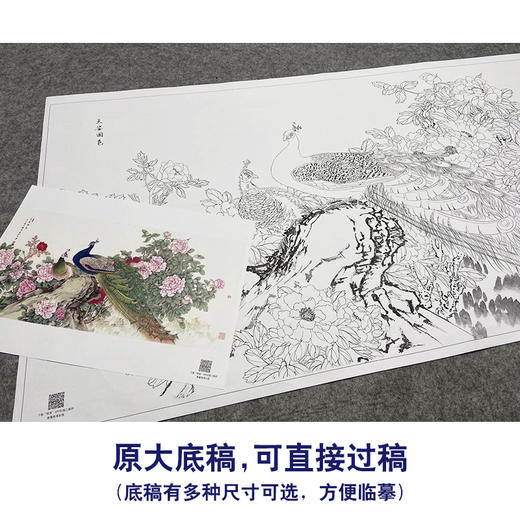 【大彩图】陈军横幅工笔画白描底稿《孔雀》临摹勾线花鸟线稿CJ42 商品图1