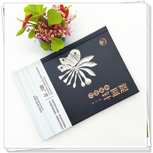 鍉圆针系统痧疗【胡广芹 著】 商品图1