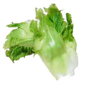 小儿菜约0.9~1kg/份