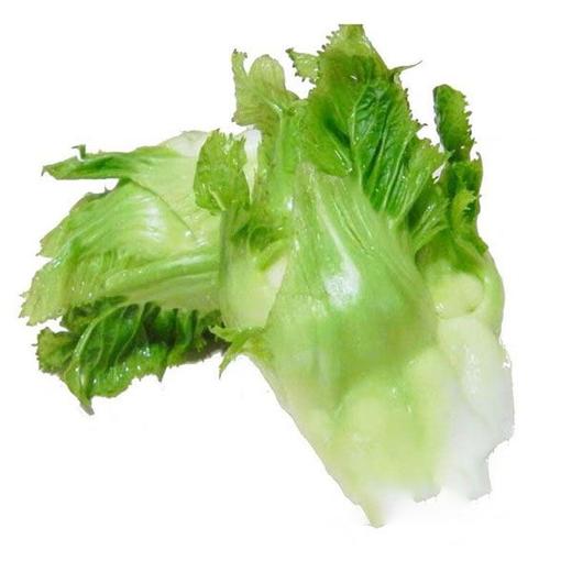 小儿菜约0.9~1kg/份 商品图0