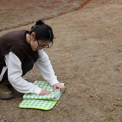百货世界-飞图乐牛津布野餐垫2*2m 大号YCD0202（象印专柜） 商品图6