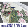【大彩图】陈军横幅工笔画白描底稿《孔雀》临摹勾线花鸟线稿CJ42 商品缩略图3