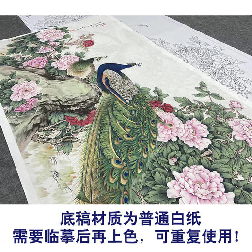 【大彩图】陈军横幅工笔画白描底稿《孔雀》临摹勾线花鸟线稿CJ42 商品图3