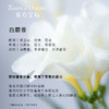 Tesori d'Oriente东方宝石 靓肤滋养霜身体乳白麝香 300ml/罐 商品缩略图3
