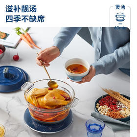 摩飞电器（Morphyrichards）电炖锅  隔水炖锅 家用燕窝炖盅炖汤电煮锅煮粥锅电炖盅 预约定时婴儿辅食料理锅 MR9081 清新绿