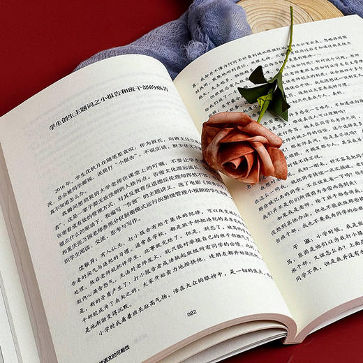 寻找语文的可能性 大夏书系 语文之道 中学语文课堂 教学实践 商品图8