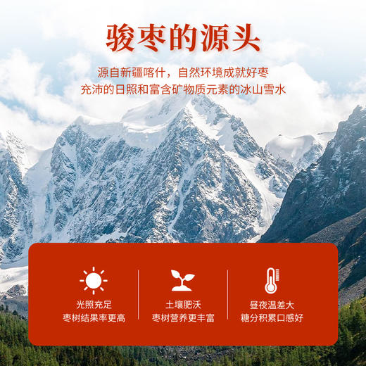 新疆大枣 红枣 一级骏枣500g（商） 商品图1