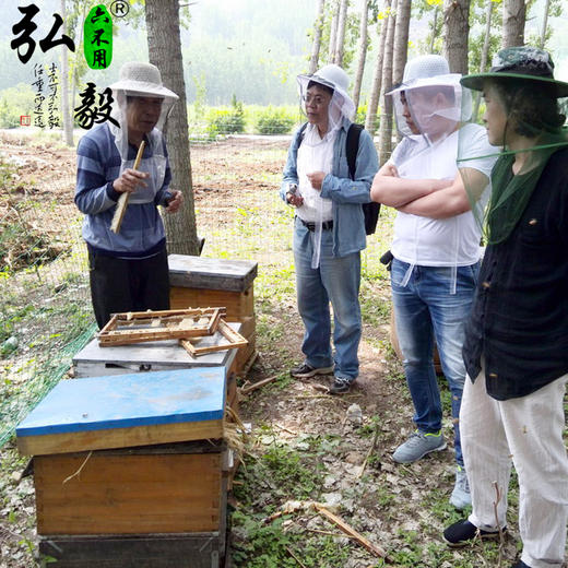 【弘毅六不用生态农场】生态养殖  土蜂蜜 中蜂蜜 500g/瓶 商品图3