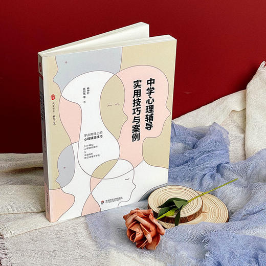 中学心理辅导实用技巧与案例 大夏书系 教育艺术 林甲针 24个典型心理辅导案例 商品图1