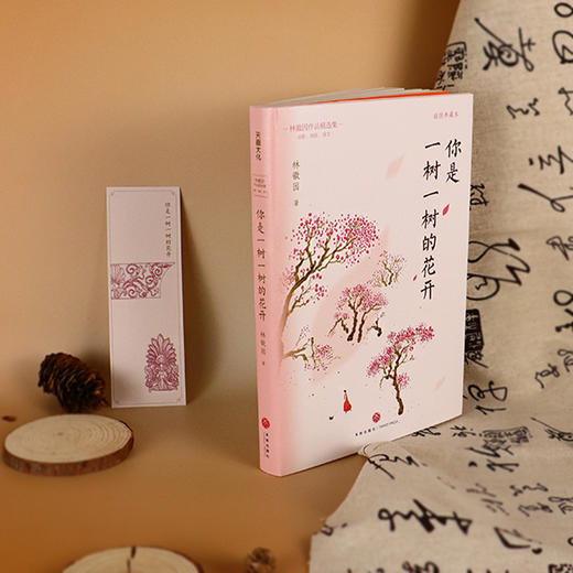 赠故宫鸟瞰图《林徽因“人间芳华”三部曲》函套全3册， 林徽因作品精选集，版本珍贵，了解一个全面真实的林徽因【G】 商品图1