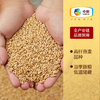中粮初萃 内蒙燕麦米1kg五谷杂粮 商品缩略图1