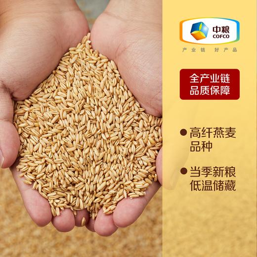 中粮初萃 内蒙燕麦米1kg五谷杂粮 商品图1