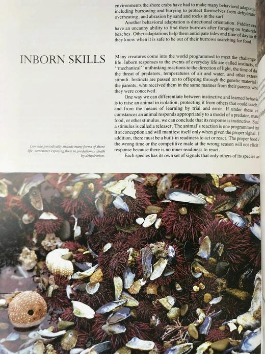 雅克·库斯托的海洋世界 385幅插图（361幅彩色） 精装大16开 商品图12