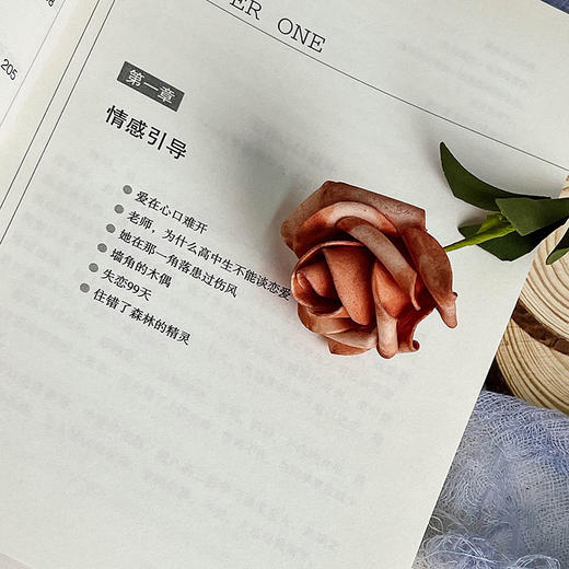 中学心理辅导实用技巧与案例 大夏书系 教育艺术 林甲针 24个典型心理辅导案例 商品图5