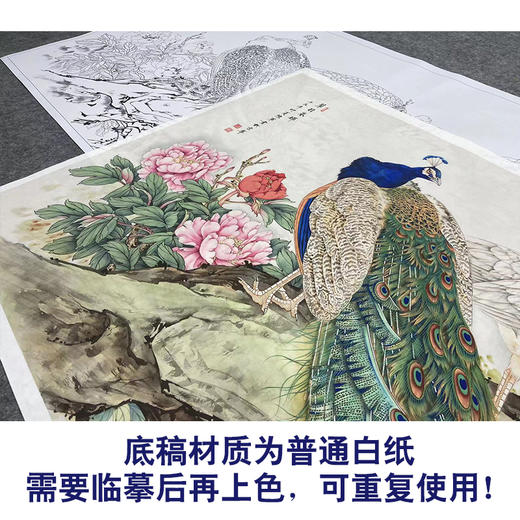 【大彩图】陈军横幅工笔画白描底稿《翠玉春晖》孔雀临摹勾线花鸟线稿CJ46 商品图3