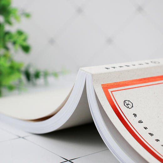 中国民间艺术的奇妙之旅 商品图4