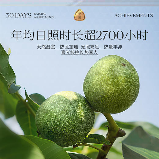 觅菓晚熟有机核桃仁218g孕妇儿童学生健康零食坚果 商品图4