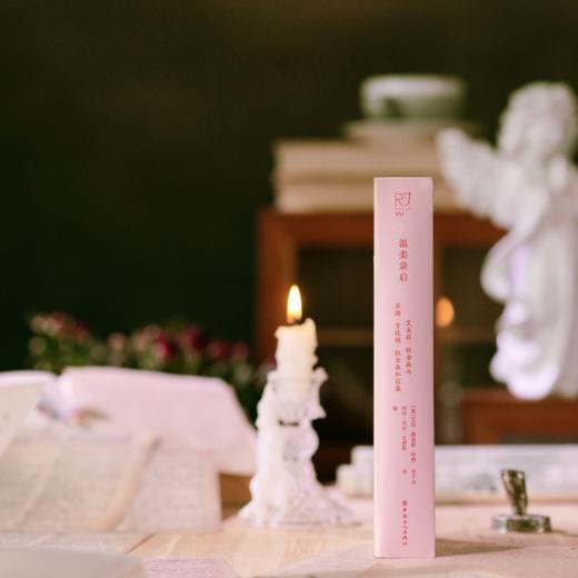 温柔亲启：艾米莉·狄金森与苏珊·亨廷顿·狄金森私信集 商品图4