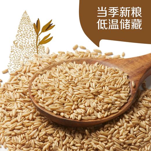 中粮初萃 内蒙燕麦米1kg五谷杂粮 商品图3