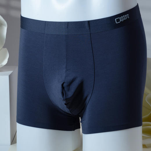 男士莫代尔无痕内裤【CSM23102】 商品图1