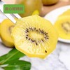 【一口爆汁！满口香甜】四川黄心猕猴桃，果肉鲜嫩多汁，营养丰富，奇异果新鲜水果当季整箱包邮金大果时令弥猴桃 商品缩略图2