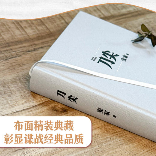 刀尖 麦家著 张译主演同名电影原著 俞敏洪推荐 金深水版《人生海海》谍战长篇小说 花城出版社正版书籍 商品图4