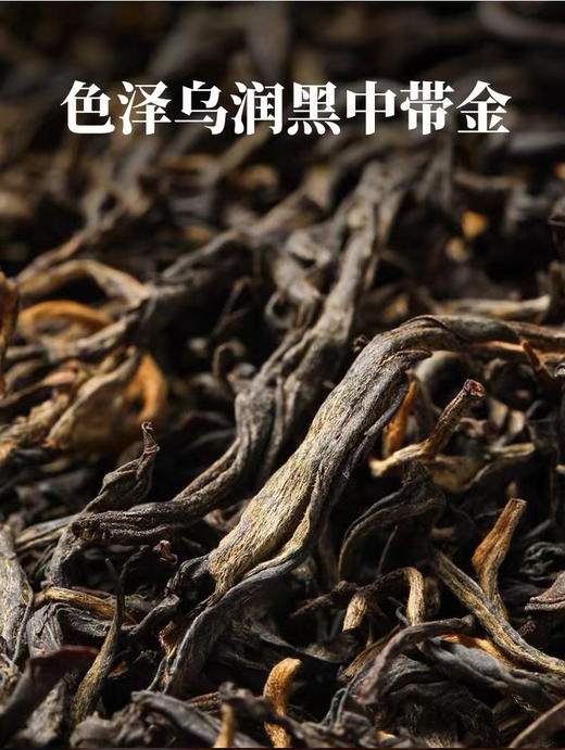 凤宁号 | 2024年 古树红茶 250G/盒 商品图1