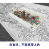 【大彩图】陈军横幅工笔画白描底稿《翠玉春晖》孔雀临摹勾线花鸟线稿CJ46 商品缩略图2