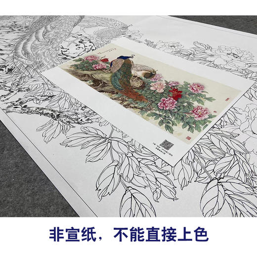 【大彩图】陈军横幅工笔画白描底稿《翠玉春晖》孔雀临摹勾线花鸟线稿CJ46 商品图2