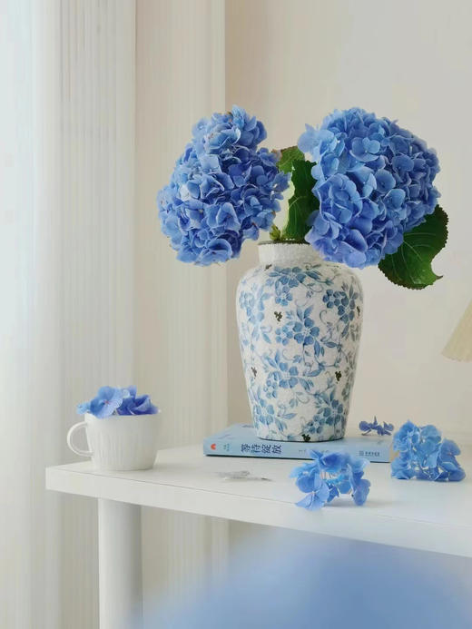 缤纷绣球 商品图4