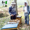 【弘毅六不用生态农场】生态养殖  土蜂蜜 中蜂蜜 500g/瓶 商品缩略图4