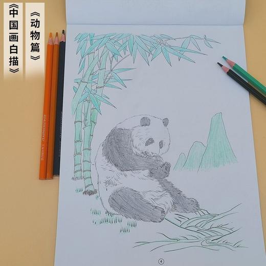 白描描摹本儿童绘画涂色本素描古诗词铅笔纸素描本工笔国风古风花 商品图3