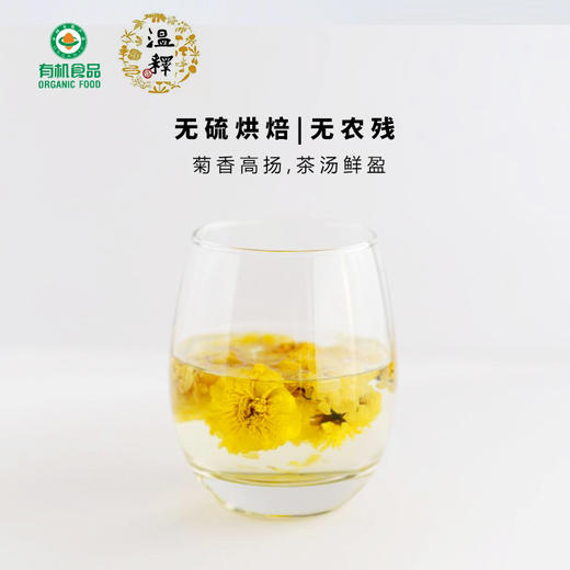 【下单48小时发货】河南焦作 有机怀菊花30g*2罐 商品图1