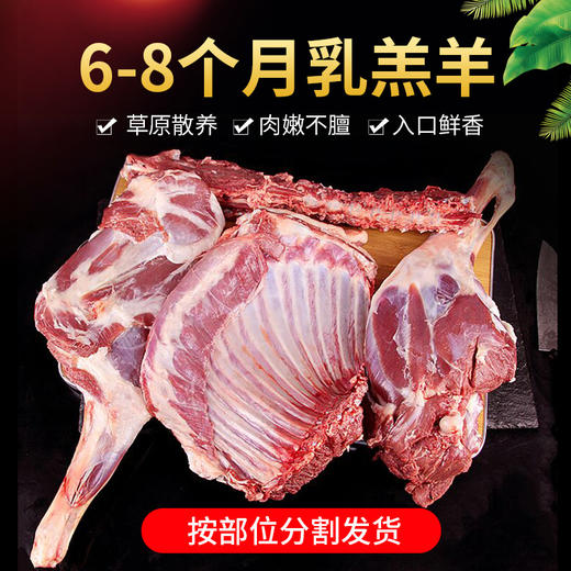 【部分缺货 拍前请联系】| 新疆甘亩仑羊肉卡 精选大尾羊羔羊 天然牧场游牧 商品图12