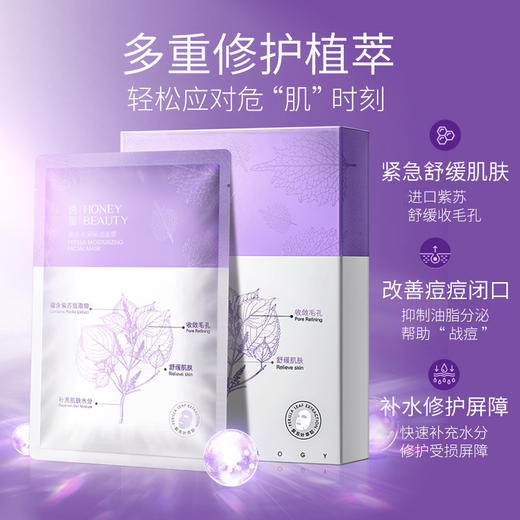 【蜜家特惠】透蜜 紫苏水润保湿面膜10片装 商品图1