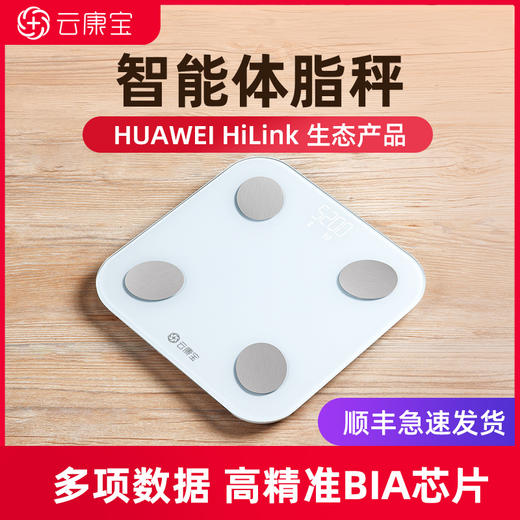 【宜心】云康宝智能体脂秤 商品图1