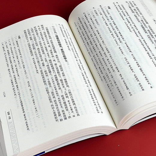 海珊诗钞注 清代别集丛刊 清初诗人严遂成诗集注本 明史杂咏 诗经序传辑疑 商品图6