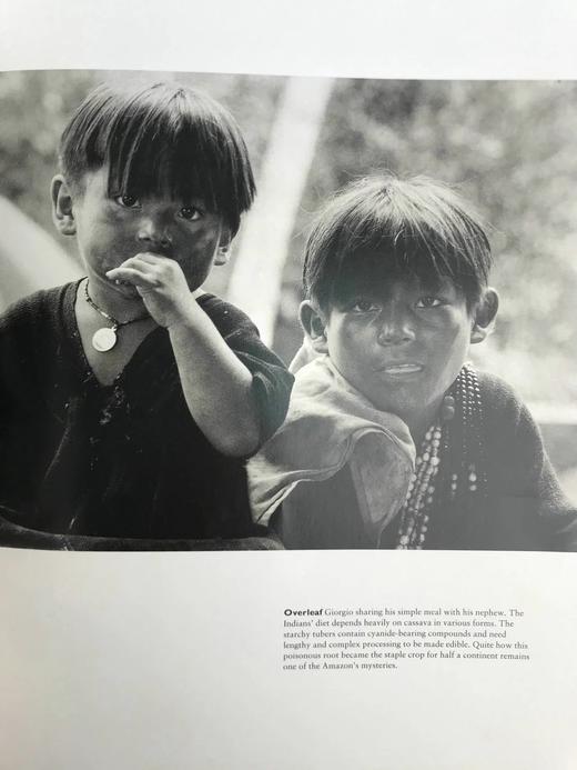 消失的亚马逊 220幅插图（150幅彩色） 精装大16开 商品图11