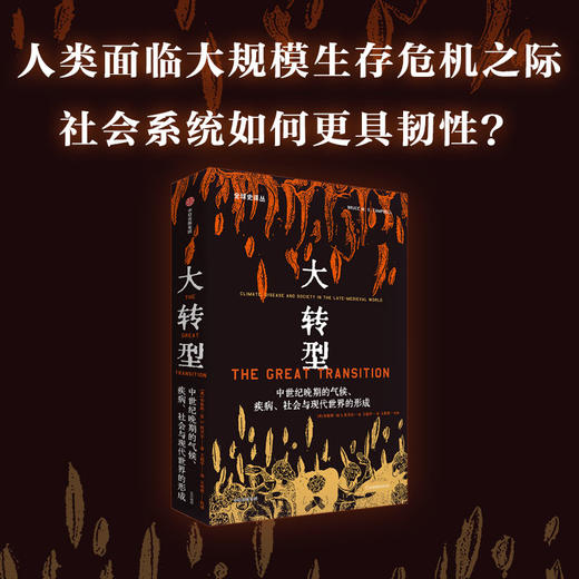 大转型 中世纪晚期的气候 疾病 社会与现代世界的形成 布鲁斯MS坎贝尔著 量化史学重磅作品 探索更具韧性的社会系统建设 商品图0