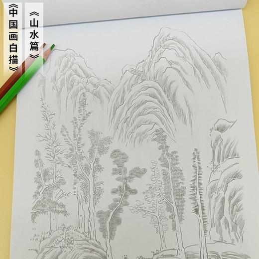 白描描摹本儿童绘画涂色本素描古诗词铅笔纸素描本工笔国风古风花 商品图8